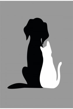 Kedi Köpek Beyaz-siyah Dost Sticker