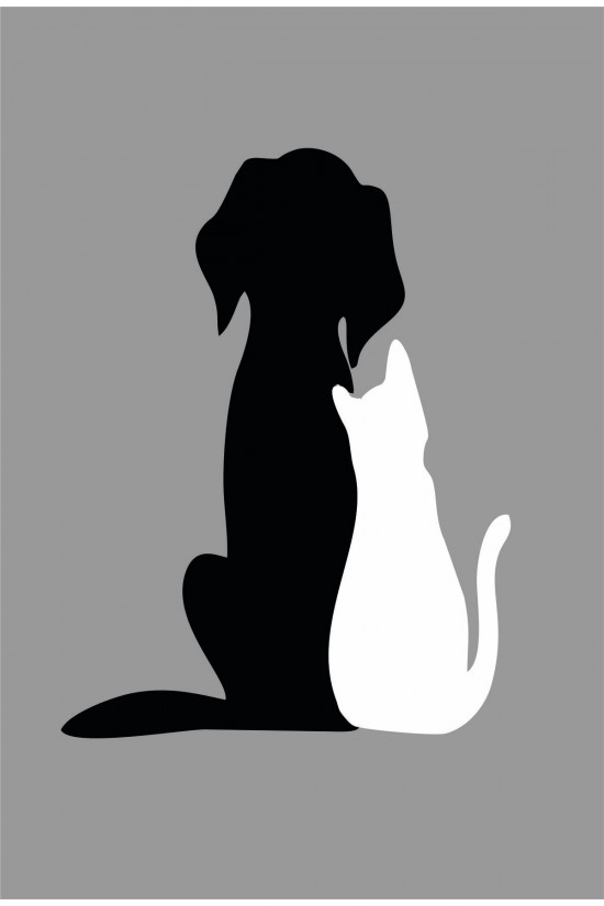 Kedi Köpek Beyaz-siyah Dost Sticker