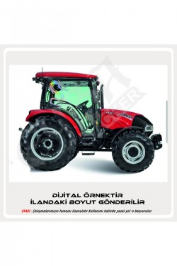 Kırmızı dilli ejderha sticker 50x35 Sağ-Sol case tümosan massey erkunt