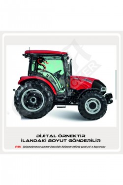 Kırmızı dilli ejderha sticker 50x35 Sağ-Sol case tümosan massey erkunt