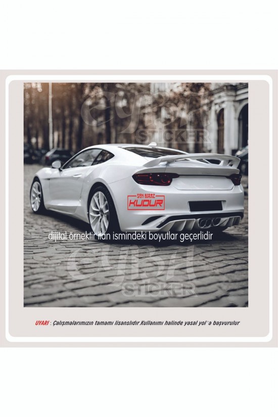 Sen biraz kudur 18x8cm oto sticker motor sticker karavan yapıştırma çıkartma taksi sticker