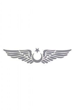 Ay Yıldız Kanatlı Türk Bayrağı Oto Kapı Cam Kaput Sticker - 30cm