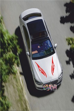 Kaput Araba Sticker - Oto Sticker - Sağ,sol 2 Adet 57x19 Cm