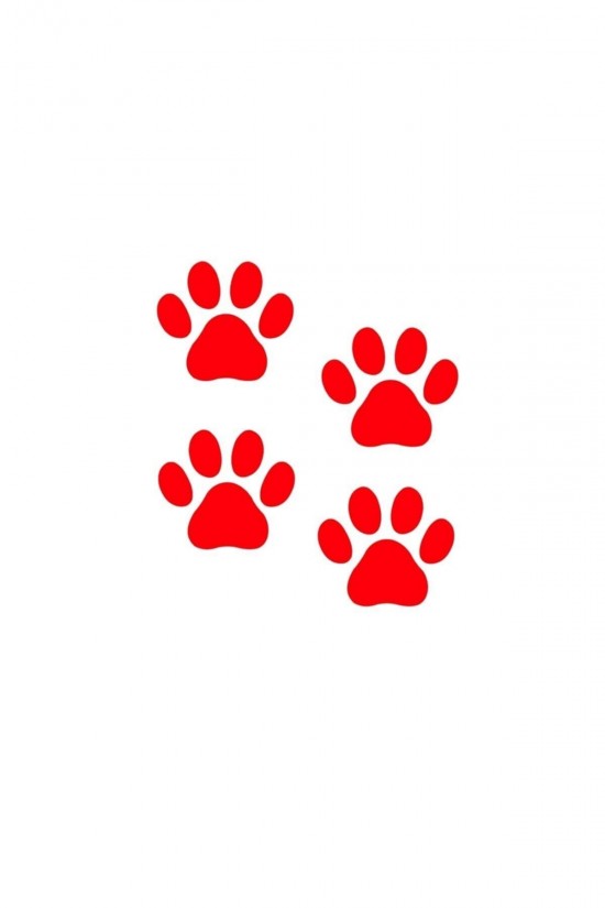 4 Adet Pati Izleri Sticker-oto Sticker-araba Sticker-5 Renk Çeşidi