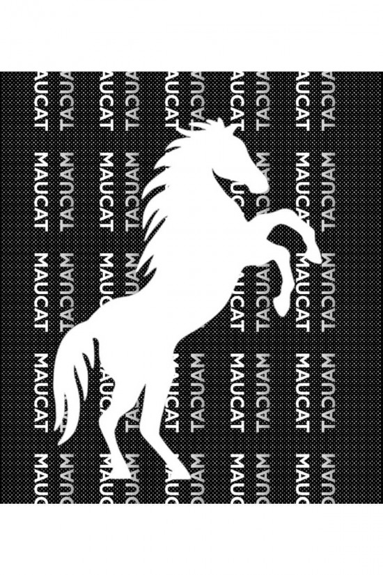 ŞAHA KALKMIŞ AT STİCKER ARAÇ ARABA DUVAR