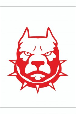 Tasmalı Pitbull Sticker 15*15 Cm - Oto Sticker - Araba Çıkartma