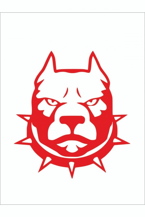 Tasmalı Pitbull Sticker 15*15 Cm - Oto Sticker - Araba Çıkartma