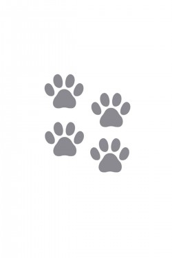 4 Adet Pati Izleri Sticker-oto Sticker-araba Sticker-5 Renk Çeşidi 4 Adet Pati Izleri Sticker-oto Sticker-araba Sticker-5 Renk Çeşidi