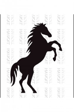 ŞAHA KALKMIŞ AT STİCKER ARAÇ ARABA DUVAR ŞAHA KALKMIŞ AT STİCKER ARAÇ ARABA DUVAR