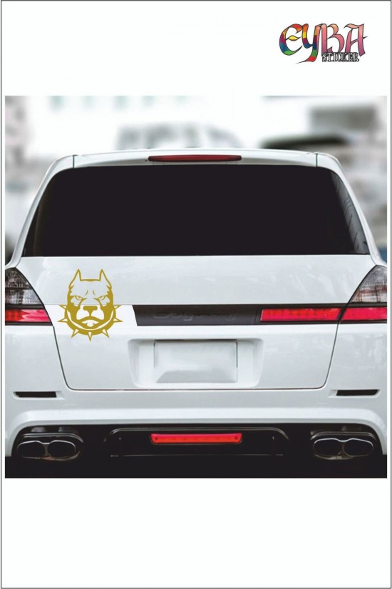 Tasmalı Pitbull Sticker 15*15 Cm - Oto Sticker - Araba Çıkartma Tasmalı Pitbull Sticker 15*15 Cm - Oto Sticker - Araba Çıkartma