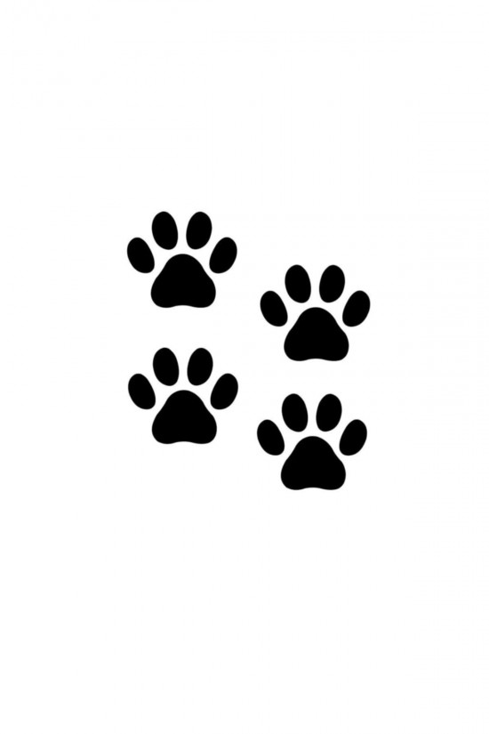 4 Adet Pati Izleri Sticker-oto Sticker-araba Sticker-5 Renk Çeşidi