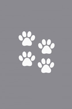 4 Adet Pati Izleri Sticker-oto Sticker-araba Sticker-5 Renk Çeşidi