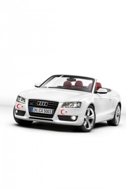 FinDit Ay Yıldız Sticker Türk Bayrağı Sticker