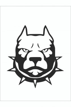 Tasmalı Pitbull Sticker 15*15 Cm - Oto Sticker - Araba Çıkartma