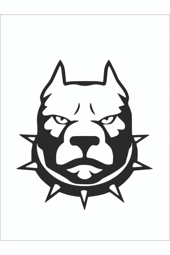 Tasmalı Pitbull Sticker 15*15 Cm - Oto Sticker - Araba Çıkartma Tasmalı Pitbull Sticker 15*15 Cm - Oto Sticker - Araba Çıkartma