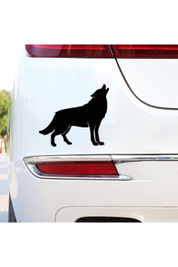 Kurt Tasarım Folyo Araç Yazısı Araba Stickeri