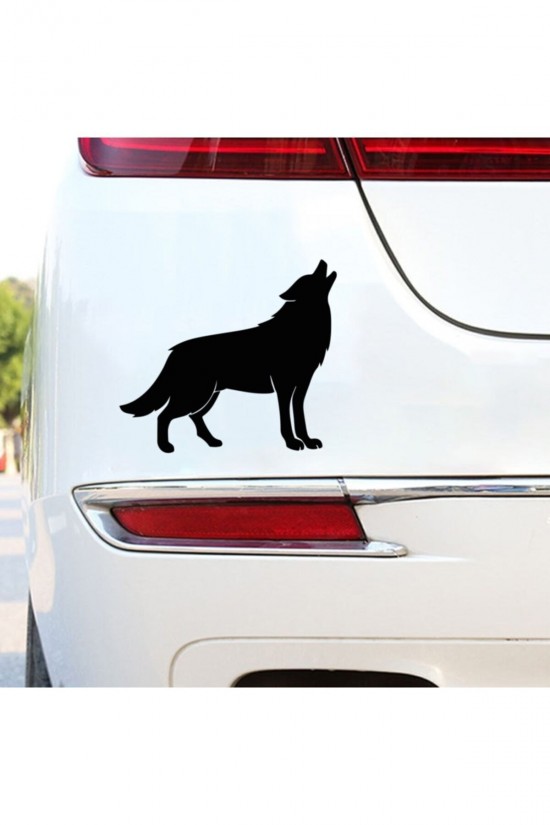 Kurt Tasarım Folyo Araç Yazısı Araba Stickeri