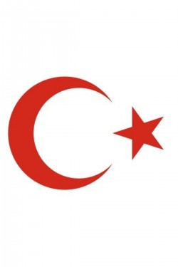 FinDit Ay Yıldız Sticker Türk Bayrağı Sticker