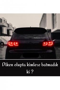 Diken olupta kimlere batmadık ki ? Araç arkası yazı sticker Diken olupta kimlere batmadık ki ? Araç arkası yazı sticker