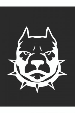 Tasmalı Pitbull Sticker 15*15 Cm - Oto Sticker - Araba Çıkartma