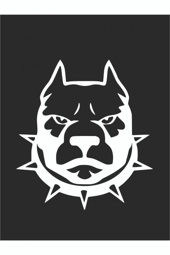 Tasmalı Pitbull Sticker 15*15 Cm - Oto Sticker - Araba Çıkartma