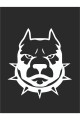 Tasmalı Pitbull Sticker 15*15 Cm - Oto Sticker - Araba Çıkartma
