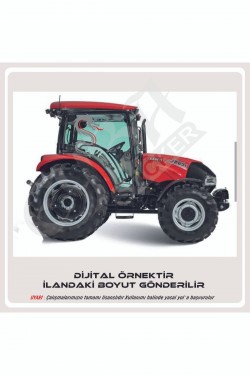 Kırmızı Dilli Ejderha Sticker 50x35 Sağ-sol Kırmızı Dilli Ejderha Sticker 50x35 Sağ-sol