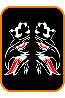 Kral Kartal 2 Adet Sağ Ve Sol Ticari Araç Oto Sticker 40x20 Cm Beyaz