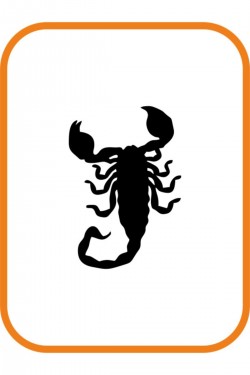 Akrep Oto Sticker 15x11 Cm Siyah