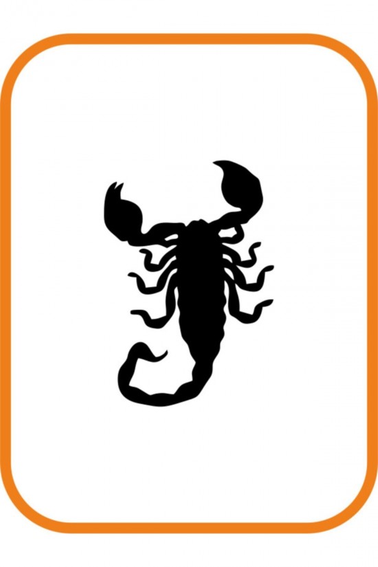 Akrep Oto Sticker 15x11 Cm Siyah