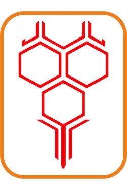 Kaput Petek Oto Sticker Büyük Boy 58x35 Cm Kırmızı