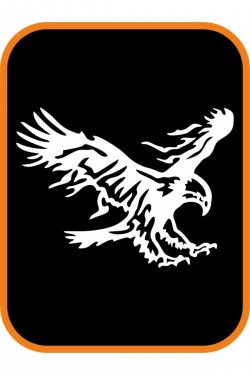 2 Adet Kartal Oto Sticker 20x15 Cm Sağ Ve Sol ( Beyaz )