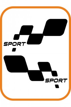 2 Adet Sport Damalı Sağ-sol Takım Oto Sticker 30x16 Cm Siyah