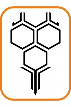 Kaput Petek Oto Sticker Büyük Boy 58x35 Cm Siyah