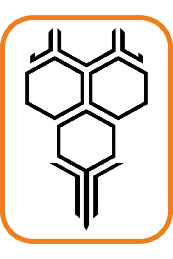 Kaput Petek Oto Sticker Büyük Boy 58x35 Cm Siyah