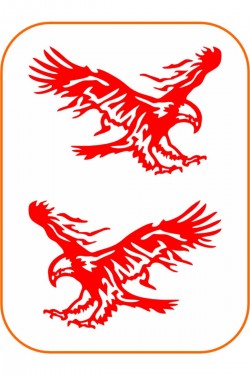 2 Adet Kartal Oto Sticker 20x15 Cm Sağ Ve Sol ( Kırmızı )