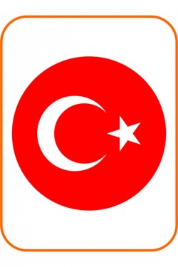 Ay Yıldız Oval Hilal Bayrak Oto Sticker 8x8 Cm Kırmızı
