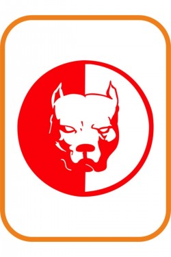 Pitbull Oto Sticker 20x20 Cm Kırmızı