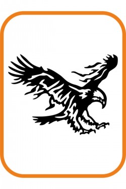 Kartal Oto Sticker Büyük Boy 30x22 Cm Siyah