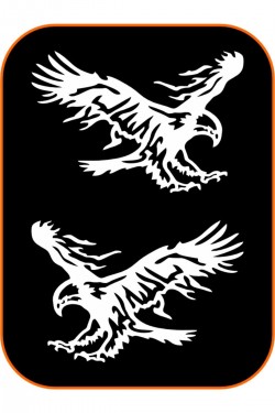 2 Adet Kartal Oto Sticker 20x15 Cm Sağ Ve Sol ( Beyaz )