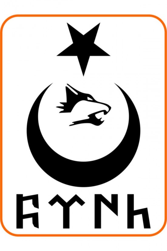 Türk Yazılı Ay Yıldız Kurt Hilal Oto Sticker 30x20 Cm Siyah