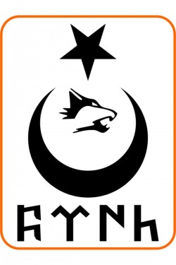 Türk Yazılı Ay Yıldız Kurt Hilal Oto Sticker 30x20 Cm Siyah