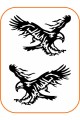 2 Adet Kartal Oto Sticker 20x15 Cm Sağ Ve Sol ( Siyah ) 2 Adet Kartal Oto Sticker 20x15 Cm Sağ Ve Sol ( Siyah )
