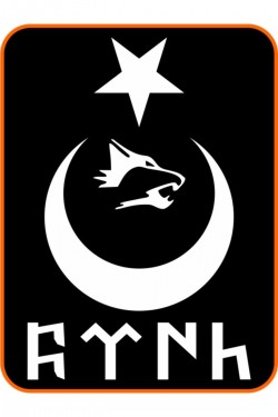 Türk Yazılı Ay Yıldız Kurt Hilal Oto Sticker 30x20 Cm Beyaz