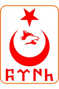 Türk Yazılı Ay Yıldız Kurt Hilal Oto Sticker 30x20 Cm Kırmızı