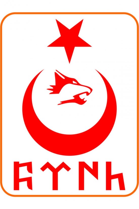 Türk Yazılı Ay Yıldız Kurt Hilal Oto Sticker 30x20 Cm Kırmızı