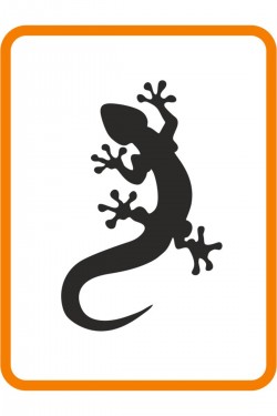 " Kertenkele " Oto Sticker Motor Sticker 15x10 Cm Siyah