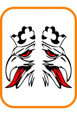 Kral Kartal Siyah 2 Adet Sağ Ve Sol Ticari Araç Oto Sticker 40x20 Cm Siyah Kral Kartal Siyah 2 Adet Sağ Ve Sol Ticari Araç Oto Sticker 40x20 Cm Siyah