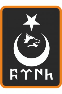 Türk Yazılı Ay Yıldız Kurt Hilal Oto Sticker 25x15 Cm Beyaz