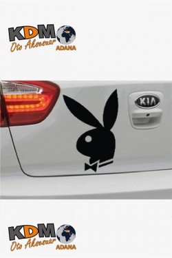 Playboy Oto Sticker Sarı